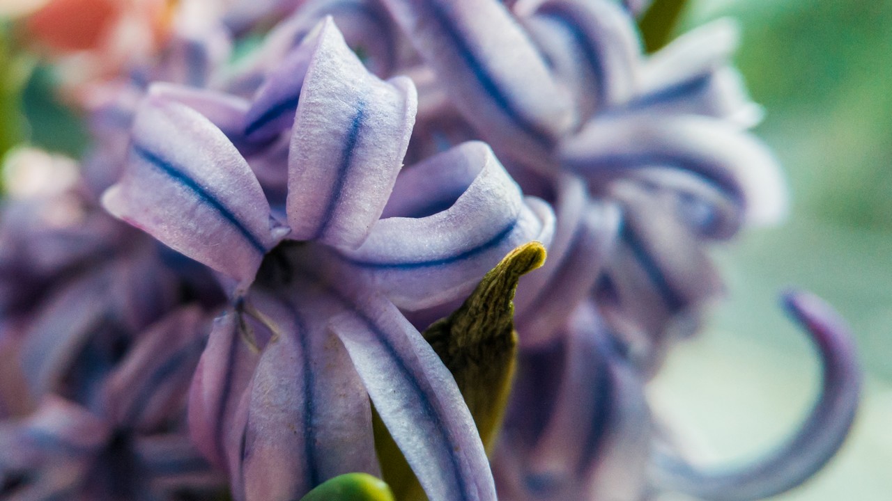 IMG_20190411_190916 (2)