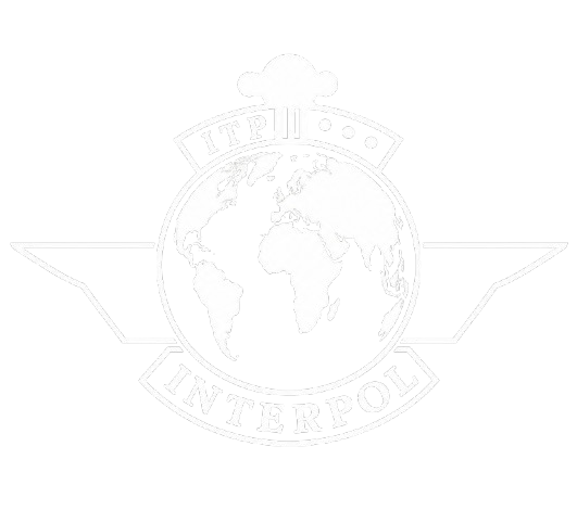 INTERPOL Logo