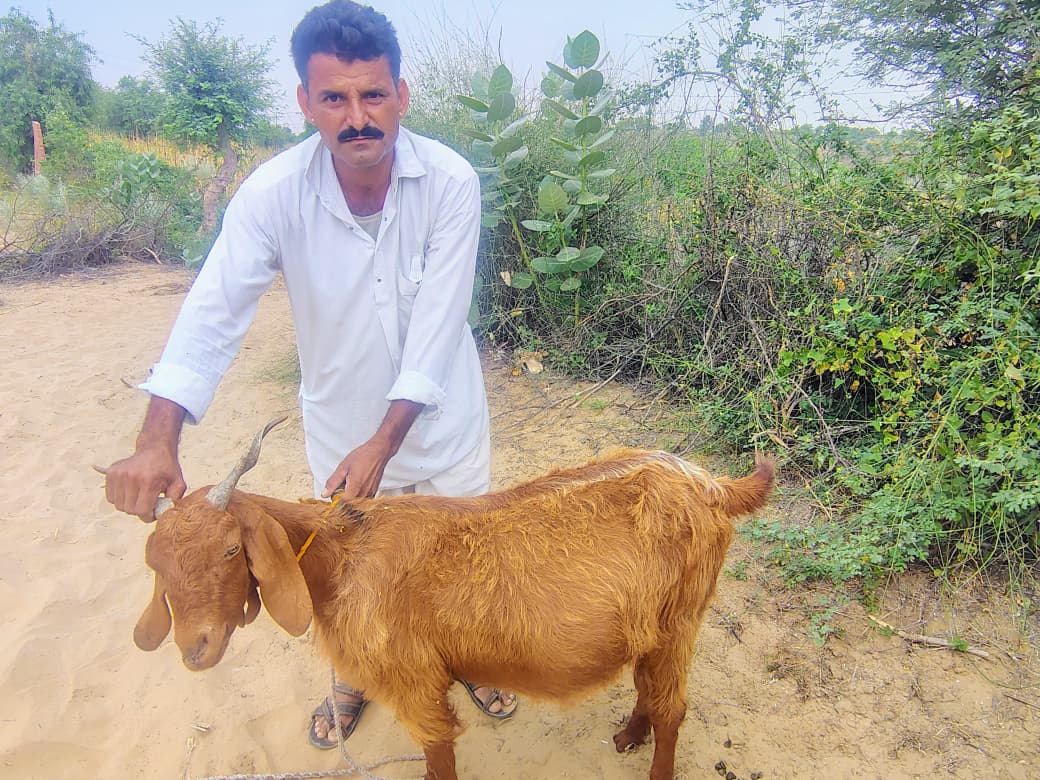 WhatsApp Image 2025-10-16 at 11.29.54_0703197b