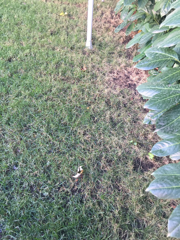 5AE7AE95-3B9B-4D66-B3DF-6A2E770D1BF7