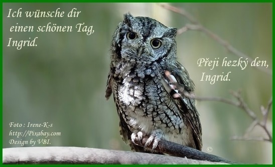 An den Beitrag angehängtes Bild: https://i.postimg.cc/dQn7xktB/alle-.jpg