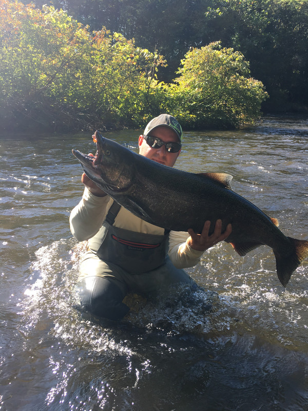 143A0E86-EC44-4F52-AF2B-961A3F880DAC