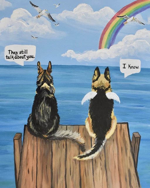 [Image: D-c-s-arc-en-ciel-1.jpg]