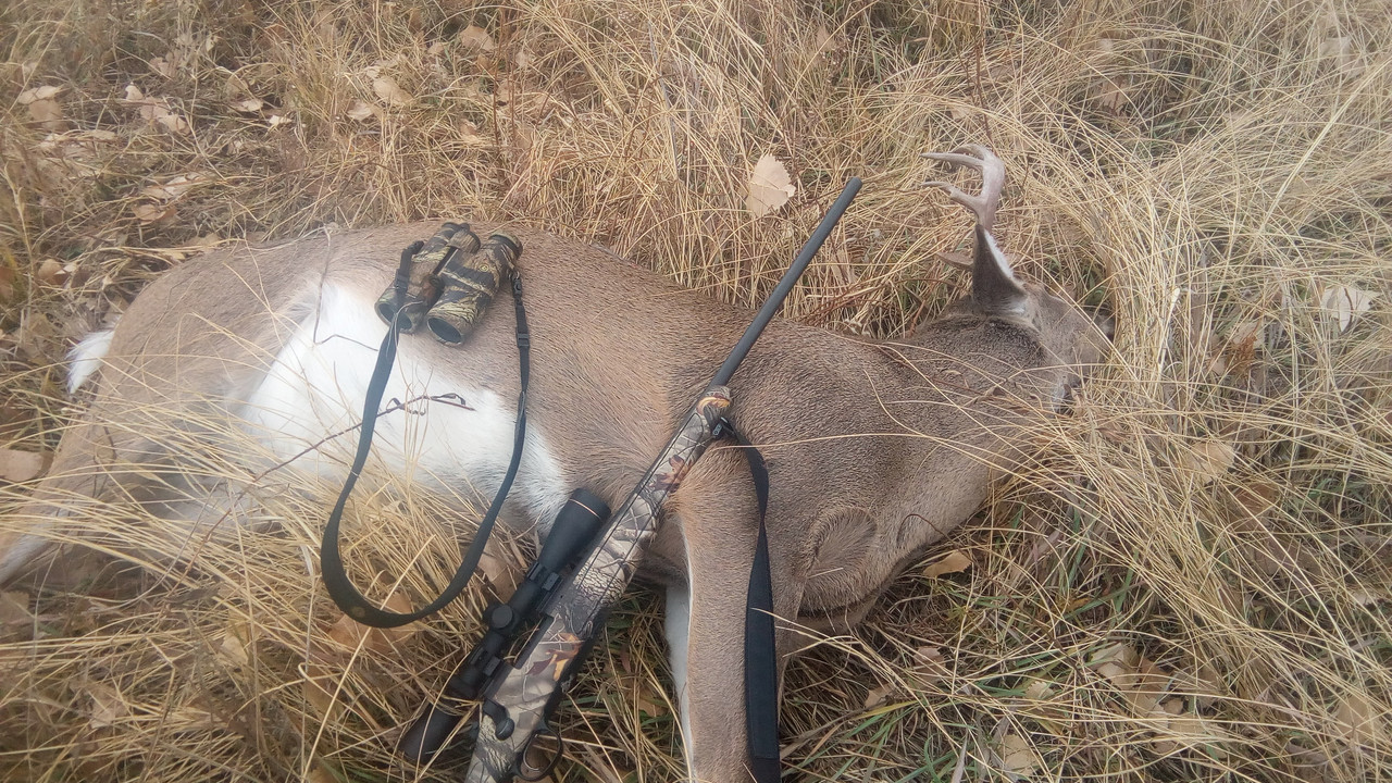 IMG_20171104_092215 (4)