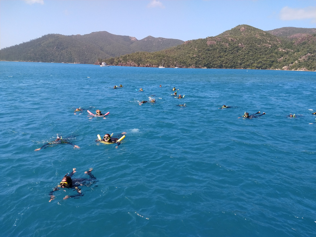 AUSTRALIA , "QUE GRAN PAIS" - Blogs de Australia - EXCURSION A WHITSUNDAYS (8)