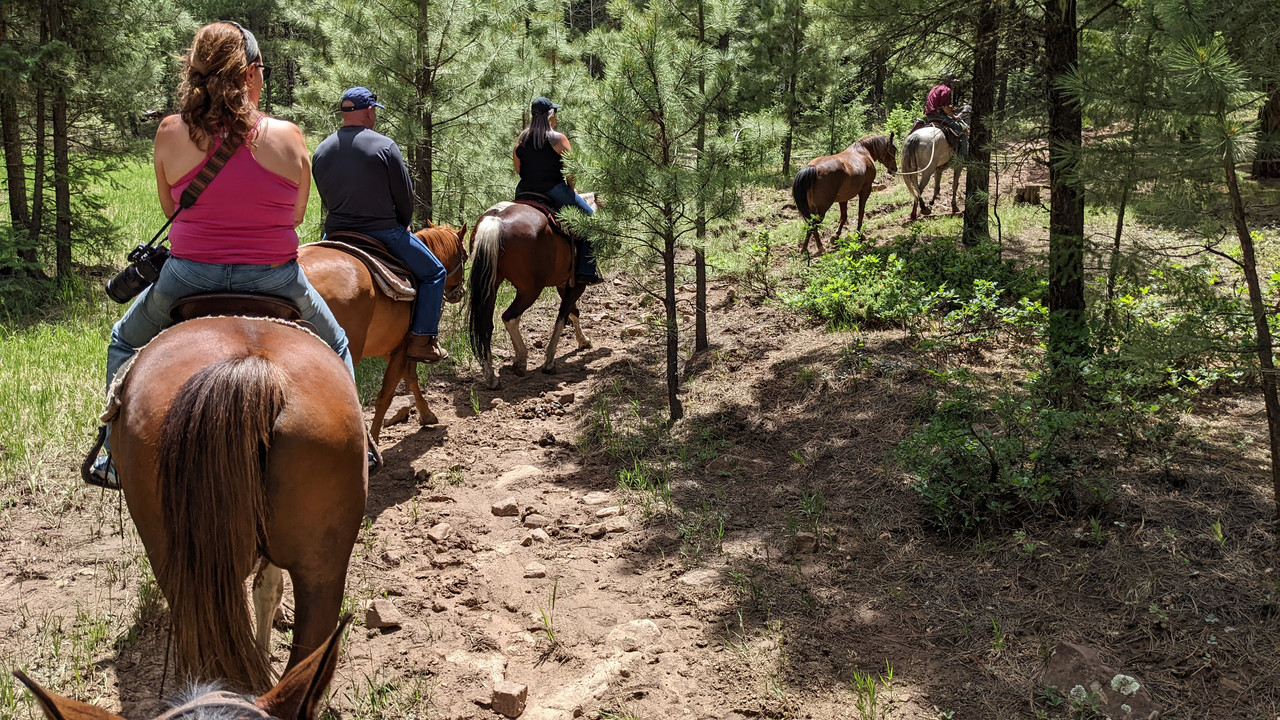 En ruta hacia el oeste - En ruta por Colorado (2022) (8)