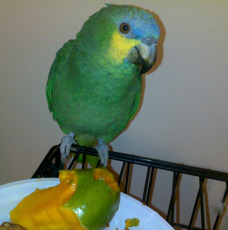 288355_374171789315825_395611993_o (2)