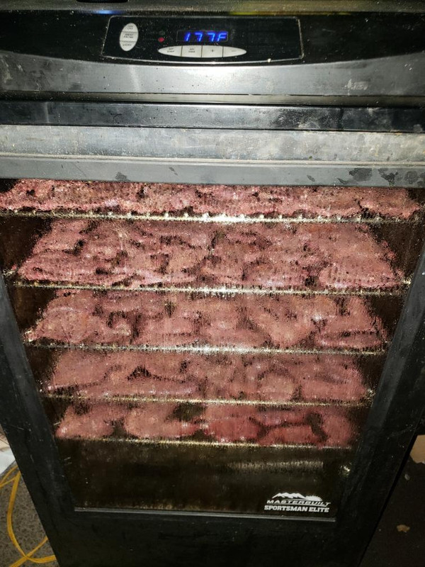 Resized_20191002_191402(1)