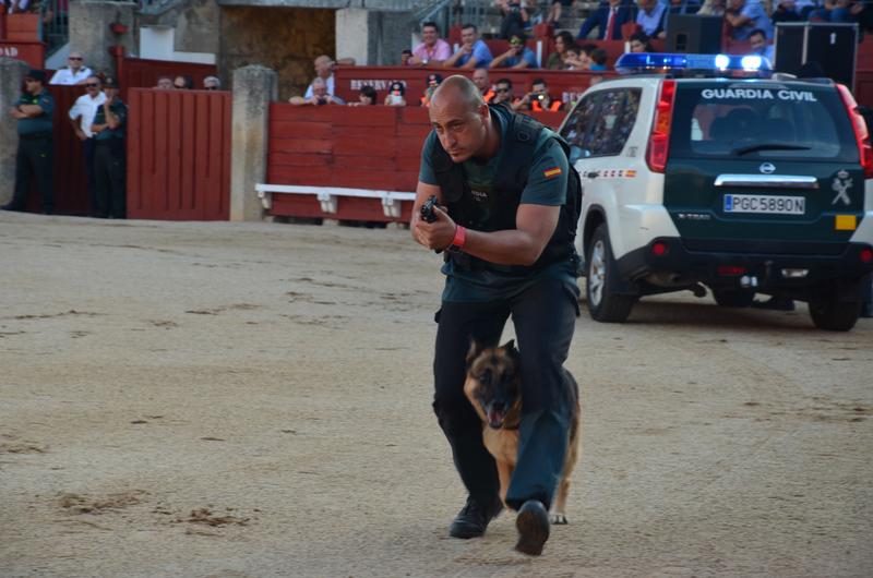 Exhibición Guardia Civil-30-9-2016 - Toledo y sus pueblos-1996/2026 (36)