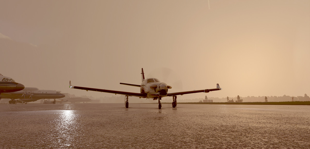 T12.jpg