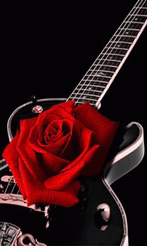 redflowerguitar.jpg