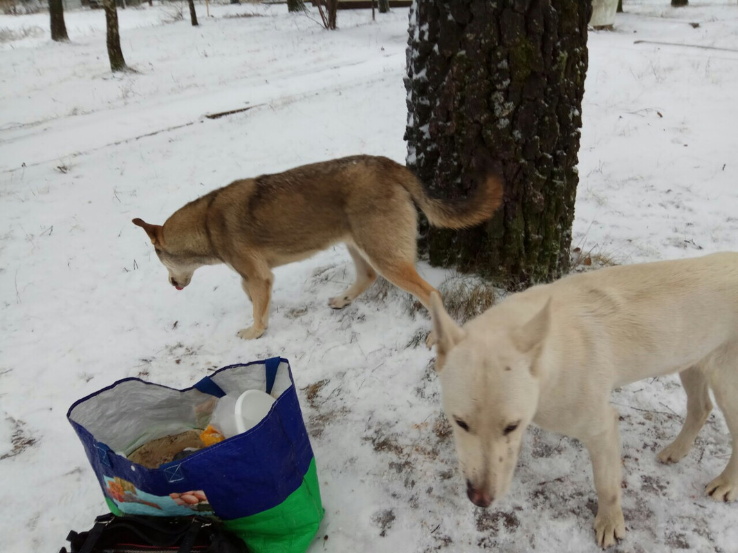 DAA616F4-B8CF-4E95-97B5-D59D79308DEA