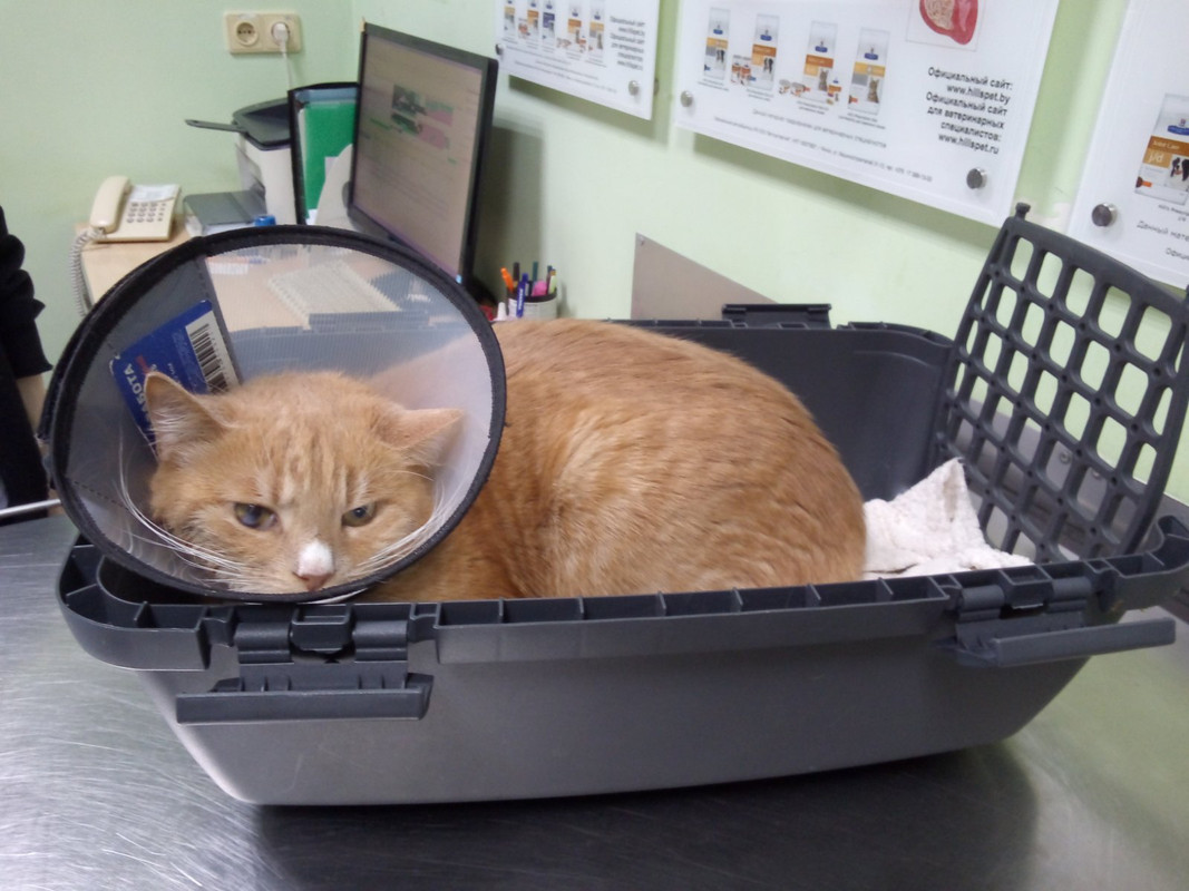 изображение_viber_2024-02-26_23-06-26-460