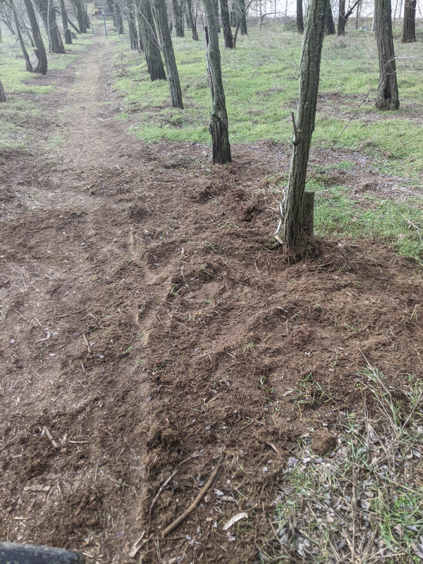 PXL 20260129 101156358