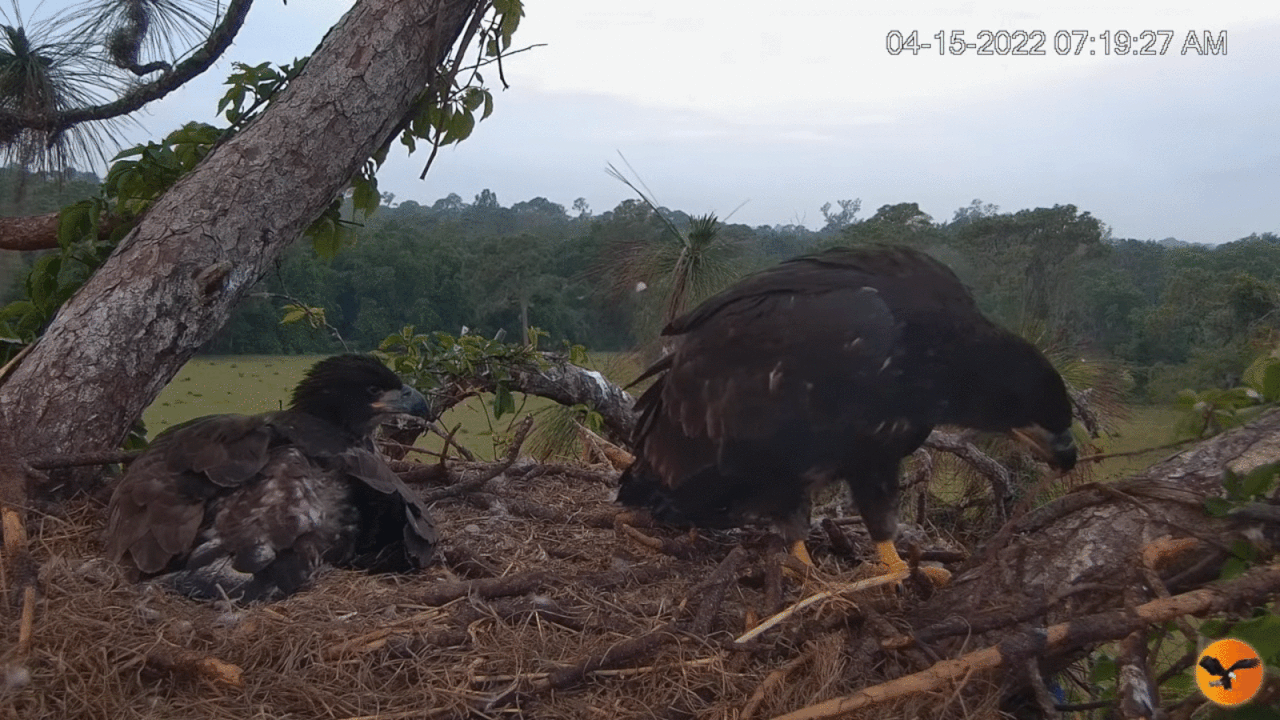 Webp.net-gifmaker (10)