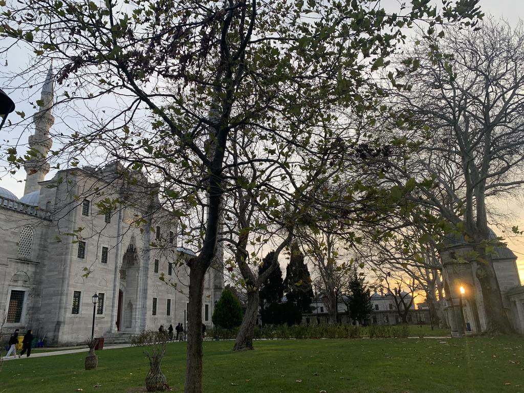 Estambul: visitas, compras, paseos. Un día completo. - Un poco de Turquía en Navidad de 2025: Estambul y Capadocia bajo la nieve (10)