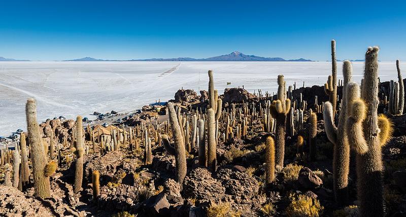 Salar de Uyuni 4 días / 3 noches - tour en San Pedro de Atacama con Estrella de Sal