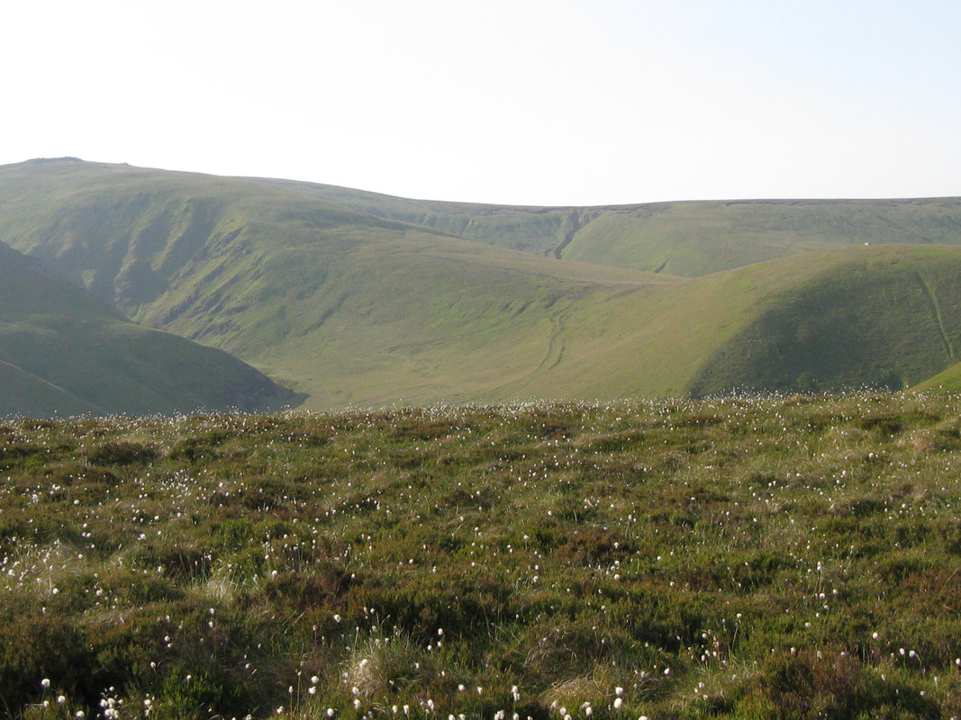 F13C9F9A-0878-4856-BADE-C5FE18121CEE