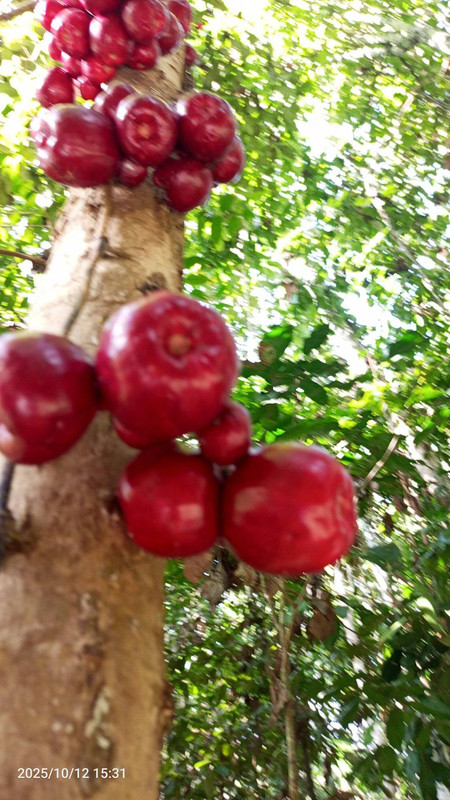 Messenger creation 69D8FC80 A799 4200 B846 DE1F4D92D237