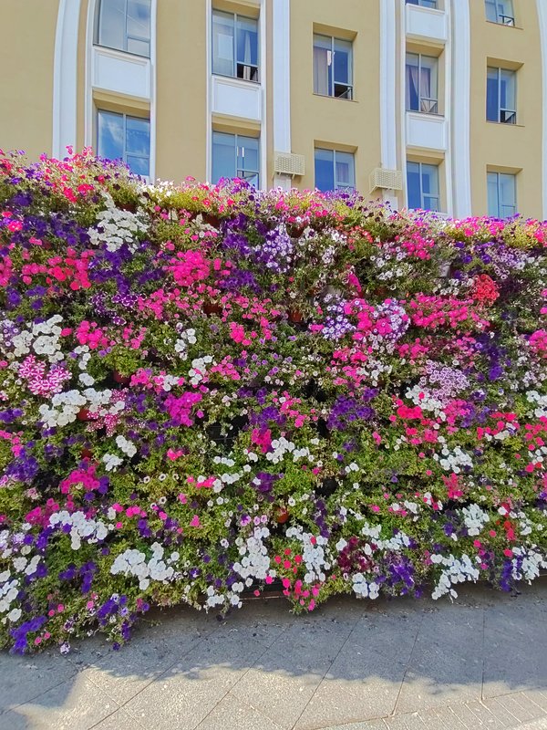 https://i.postimg.cc/dQpxMbsQ/199-IMG-20240724-160648.jpg