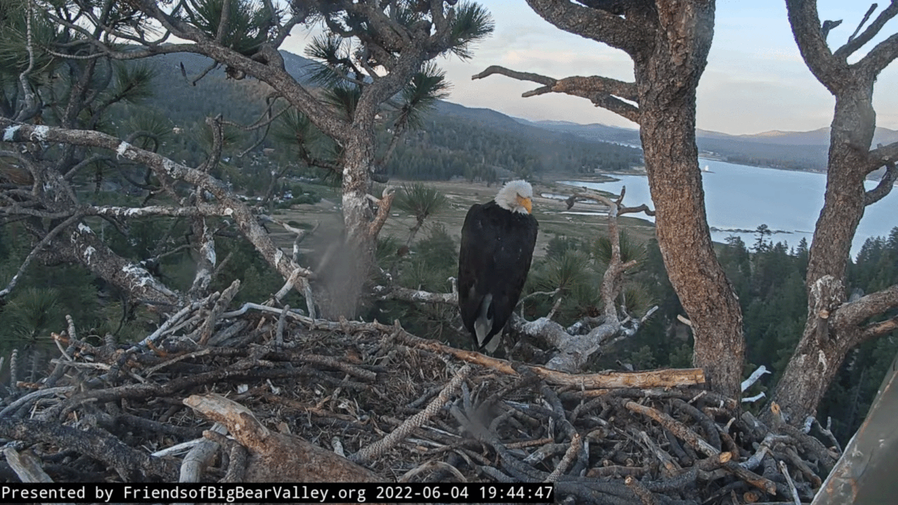 Webp.net-gifmaker (6)