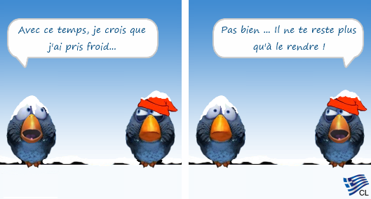 [JEUDI] - Les Birds - Page 10 2024-03-07-b-01