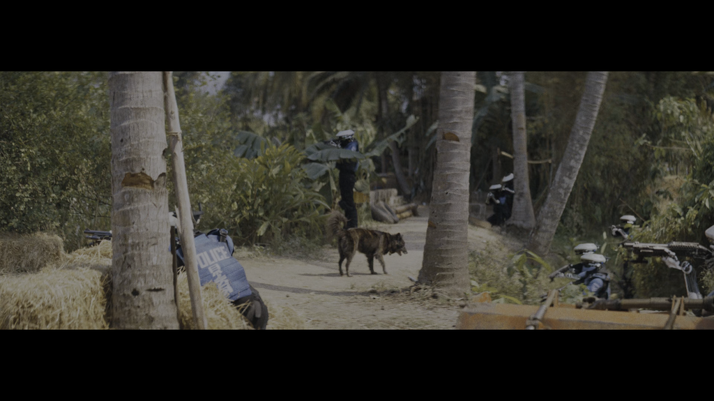 [Image: vx0t3fbwxu63.png]