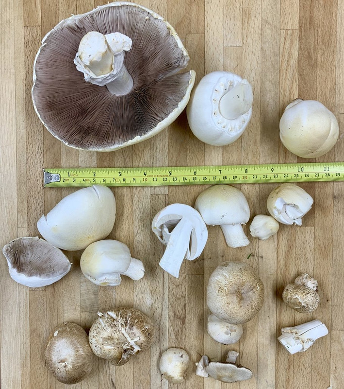 5B03EF3A-EABE-47D4-A0E5-DE98791DA697