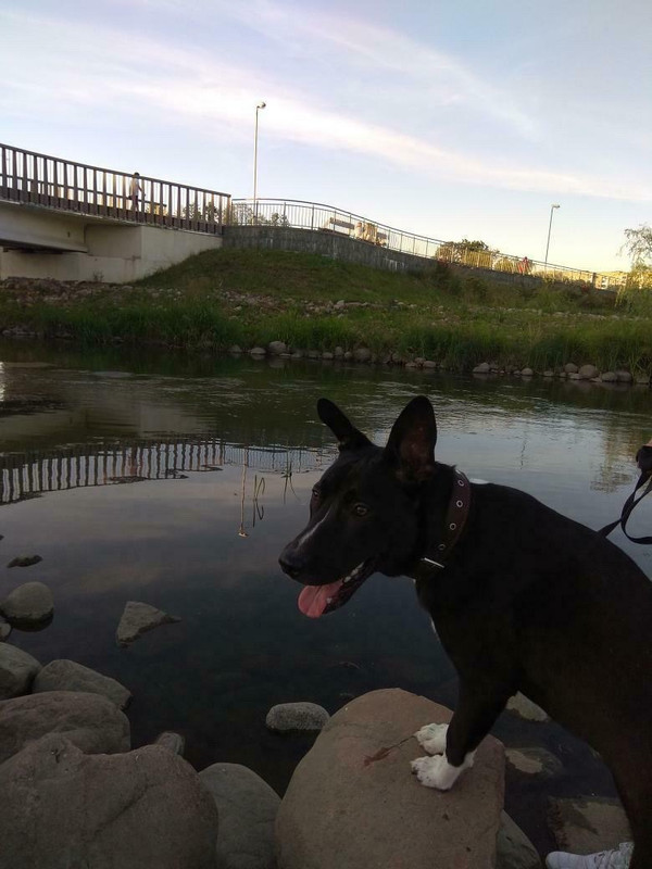 D5B6E4FE-0CE4-4746-98D0-5F49EDF5DABB