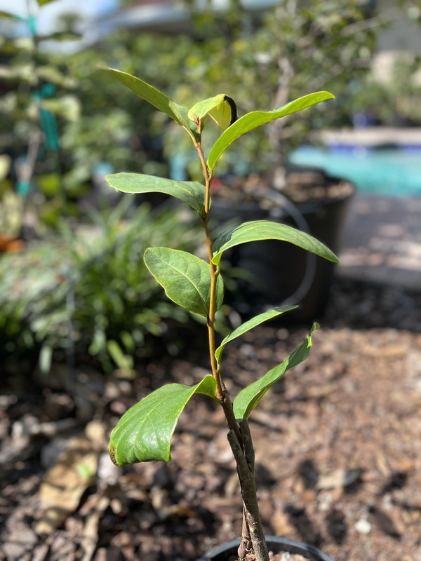 0F5EA040-A0D1-4FC0-AD4E-A239CA4B18F9