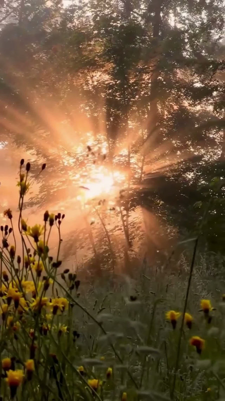 IMG 20260216 103339 666