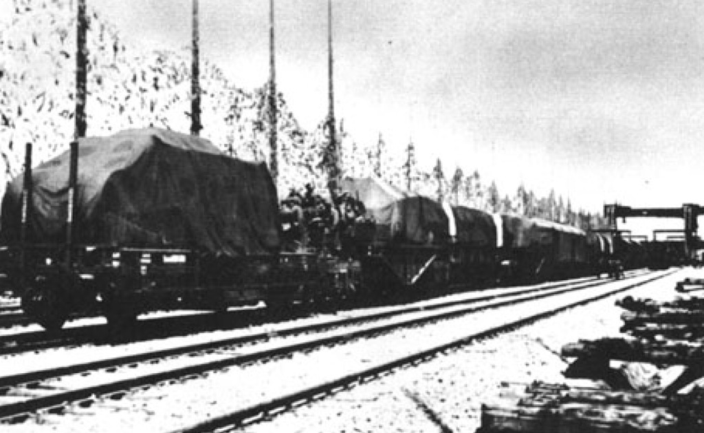 El tren de transporte de Dora El tren de transporte de Dora
