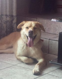 Heidi Ramchunder (1)