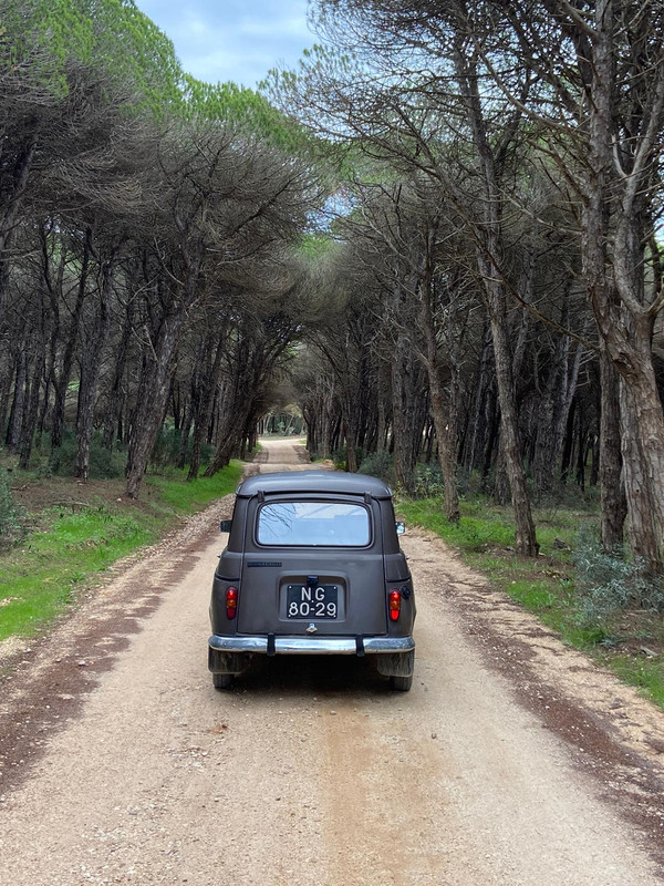 26D8DE69-A699-4163-B65A-B8DA8DE94E97