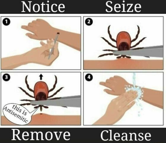 Tic-Removal-jpg-9873640161ffd4bcafecbdbfdadf4cbd.jpg