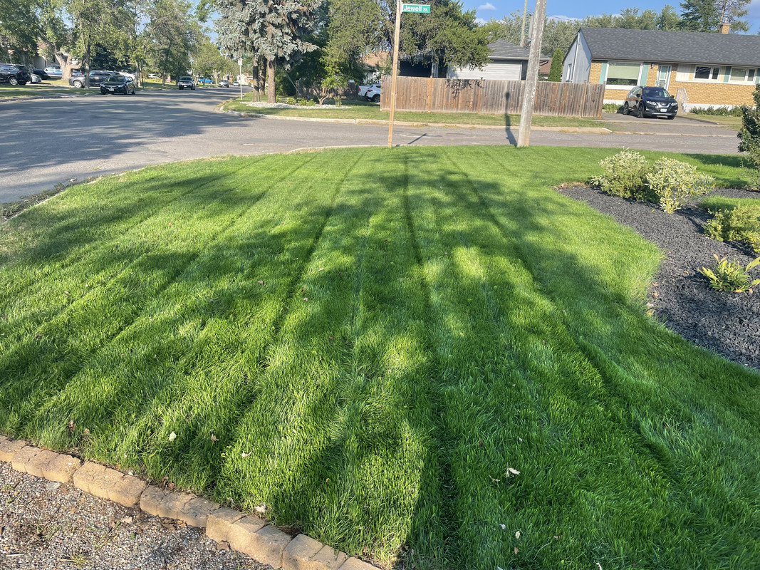 137C5FD8-E801-4D1B-97E2-856D42F71892