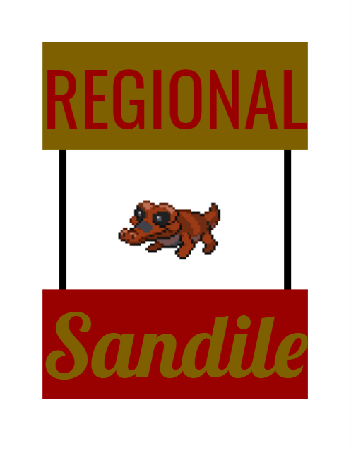 Pkmn-Sygna-Image3.png