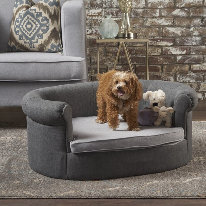 dog couch pillow