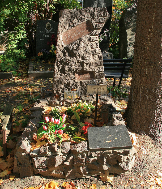 polonsky-gi-old
