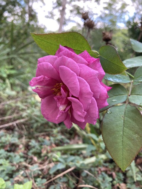 [Image: IMG-3139.jpg]