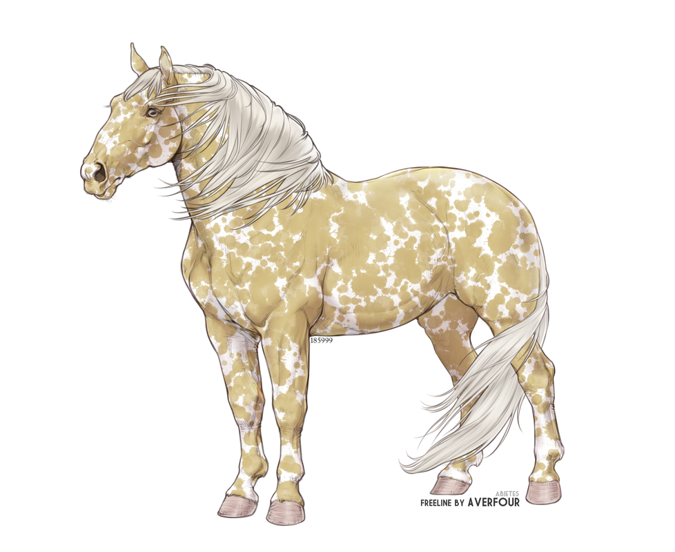 Calico1.png