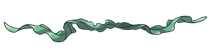 Divider-213x50-2.png