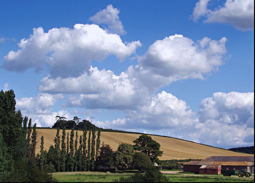 farm-HD.jpg