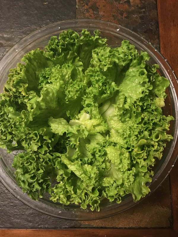 [Image: C8-A9-CF5-A-F020-4-B57-BEAF-A5530-CBBC7-AD.jpg]