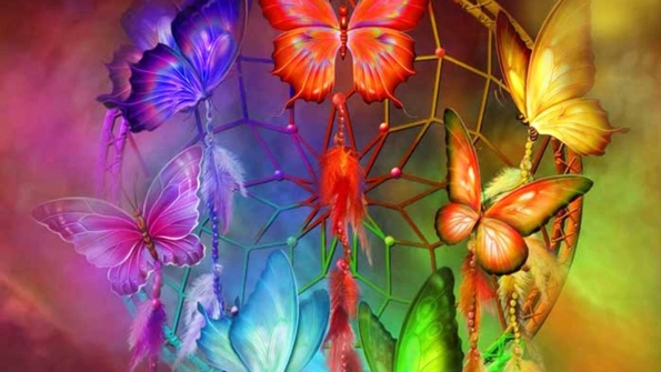 rainbow-butterflies-splendor-pretty-15190-1920x1080