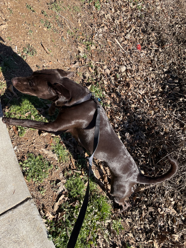 8DE14019-A31B-41BF-A903-640984A8C1B0