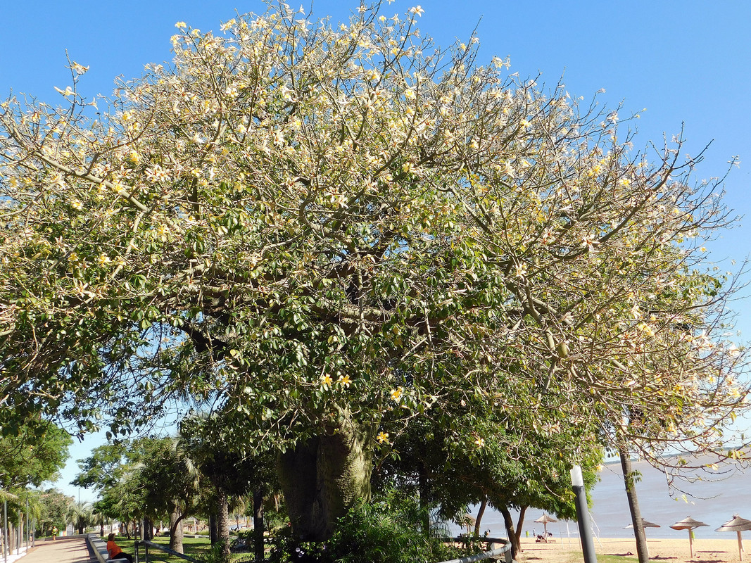 DSCN0071.jpg