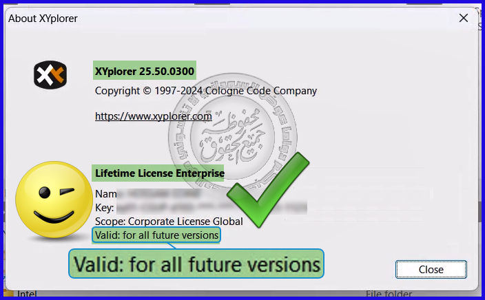 XYplorer 25.50.0300 Portable  