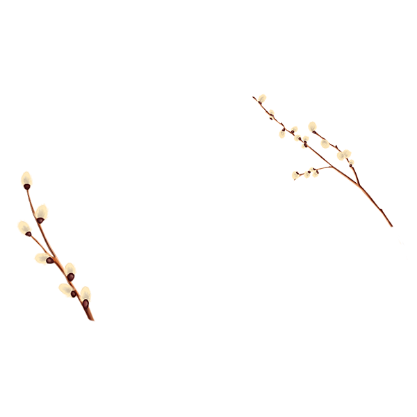 KBK_BunnyTrail (135)