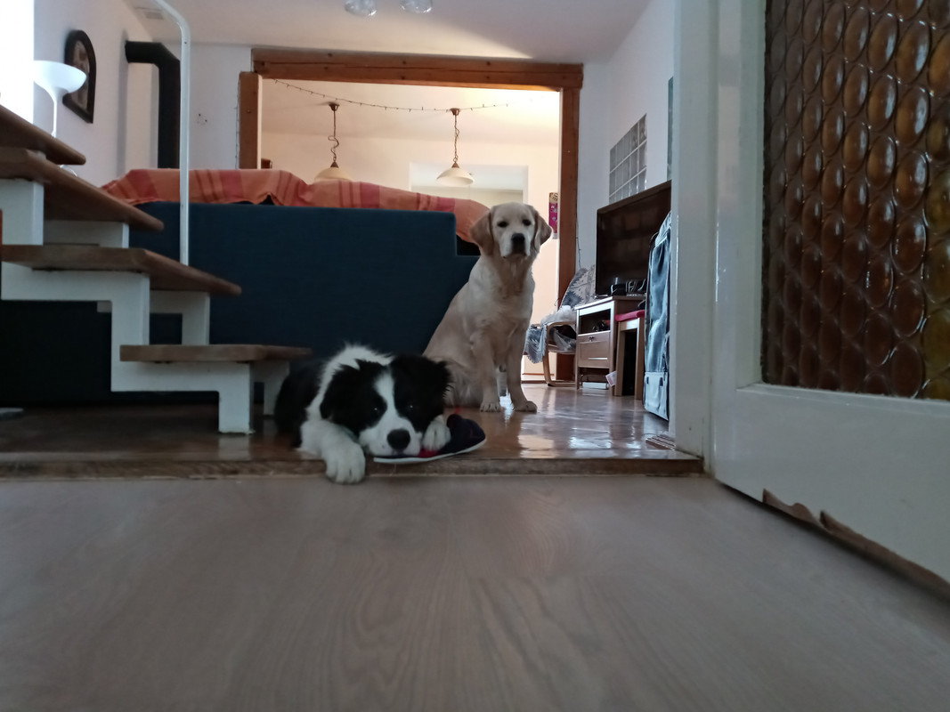 Kép